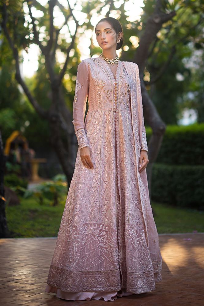 Mushq Fancy Collection - Elegant Embroidered Designs